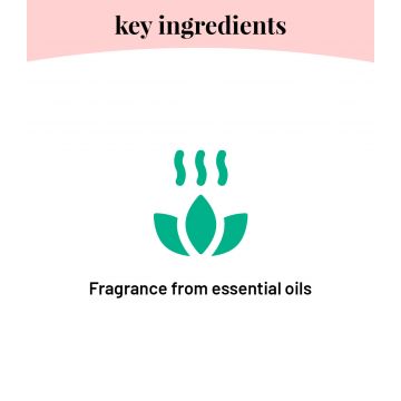 Born Good: Air freshener concentrate spray for Home & Office  - 100ml