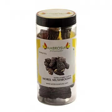 Ambrosia: Dried Morel Mushrooms Jumbos- 30g