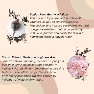ClayCo.: Sakura Konjac Sponge - 20gm