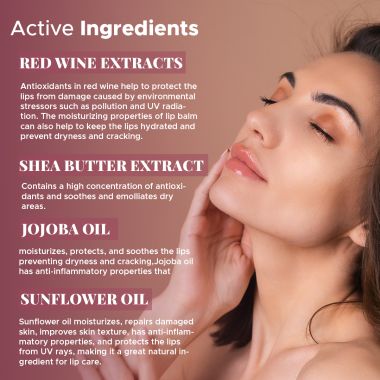 VITMINVEDA: Natural Red Wine Lip Balm - 8 gm
