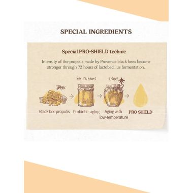 Skinfood: Royal Honey Propolis Enrich Emulsion - 60ml