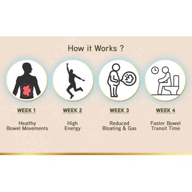 LYEF Wellness: Gut Restore Capsule - 60 Capsules