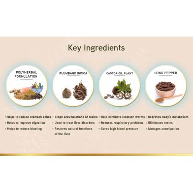 LYEF Wellness: Gut Restore Capsule - 60 Capsules