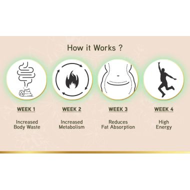 LYEF Wellness: Meta Re-Balance Capsule - 60 Capsules