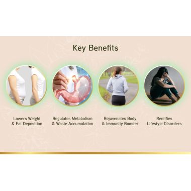 LYEF Wellness: Meta Re-Balance Capsule - 60 Capsules