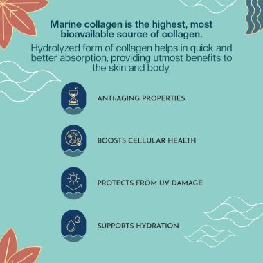 The Co Being: Marine Collagen Peptides - 30 Sachets