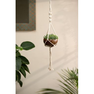 Thenga: Coconut Shell Planter with Macrame Hanger