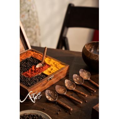 Thenga: Coconut Shell Masala Spoon - Set of 6