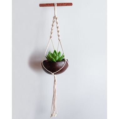 Thenga: Coconut Shell Planter with Macrame Hanger
