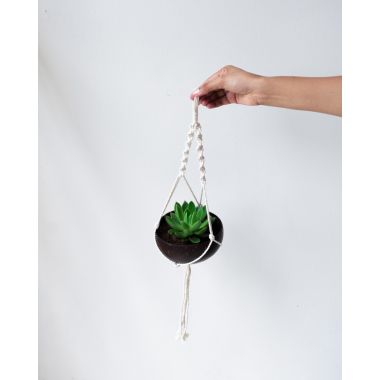 Thenga: Coconut Shell Planter with Macrame Hanger