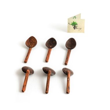 Thenga: Coconut Shell Masala Spoon - Set of 6