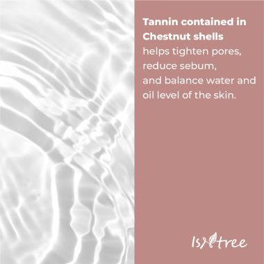 Isntree: Chestnut BHA 2% Clear Liquid 100 ml