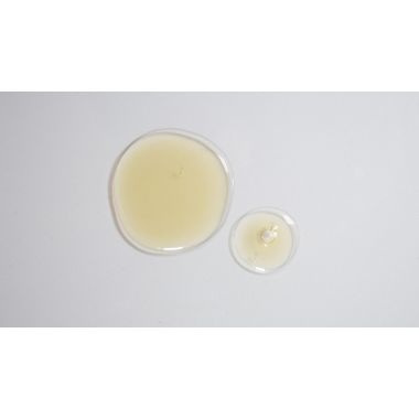 Suganda: Centella Green Tea Facewash (Unscented) - 120ml