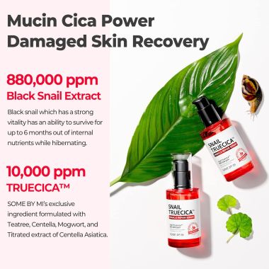 SOME BY MI: Snail True Cica Miracle Repair Serum | 50ml