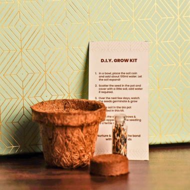 Omay Foods: Green Diwali Delights Gift Box