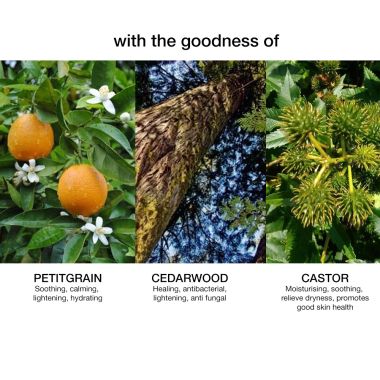 SKOG: Cedarwood / Petitgrain Body Oil - 100ml
