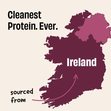 The Whole Truth:  Protein For Everyone  Beginners Protein Powder  Ragi Cocoa Sample (Pack of 7)  15g Protein/Pack  Clean, Light & Easy to Digest  No Artifical Flavours (210g)