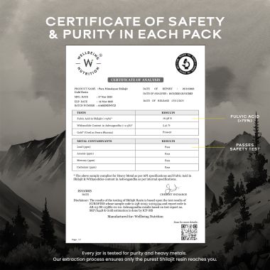 Wellbeing Nutrition: Pure Himalayan Shilajit Gold for Strength, 20g