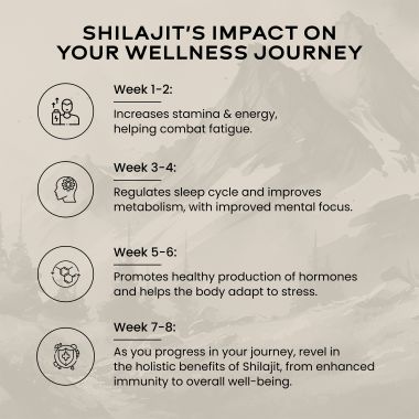 Wellbeing Nutrition: Pure Himalayan Shilajit Gold for Strength, 20g