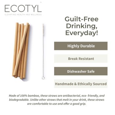 Ecotyl: Bamboo Straws with Cleaning Brush | Set of 6 | Reusable Straws 