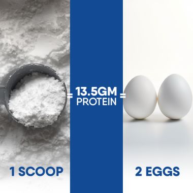 TruNativ: Everyday Protein - 900 gm (Pack of 1)