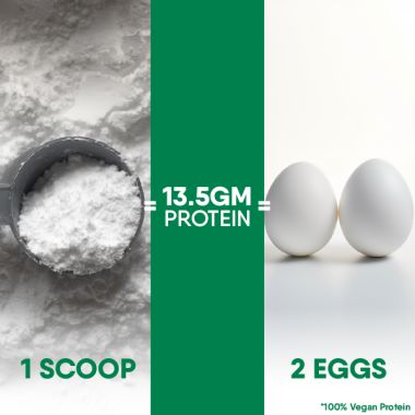 TruNativ: Everyday Plant Protein - 400 gm (Pack of 1)