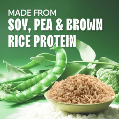 TruNativ: Everyday Plant Protein - 400 gm (Pack of 1)