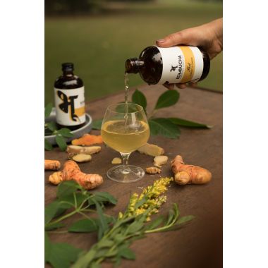 Bhu: Fermented Green Tea - Heal: Turmeric & Ginger 250ml (Pack of 1)