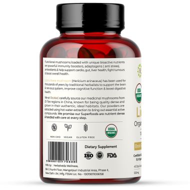 Rooted Active Naturals: Lions Mane mushroom Extract  ( 90 Veg Caps, 500 mg) | Memory, Focus, Brain Powder & Nerve Health. USDA Organic, 38% Beta Glucans