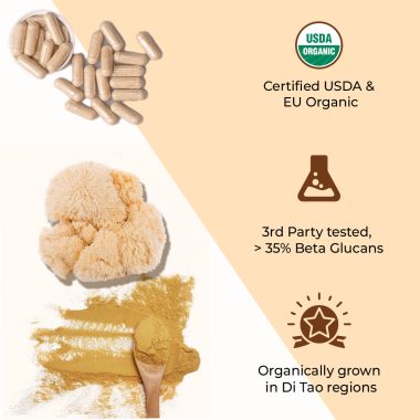 Rooted Active Naturals: Lions Mane mushroom Extract  ( 90 Veg Caps, 500 mg) | Memory, Focus, Brain Powder & Nerve Health. USDA Organic, 38% Beta Glucans