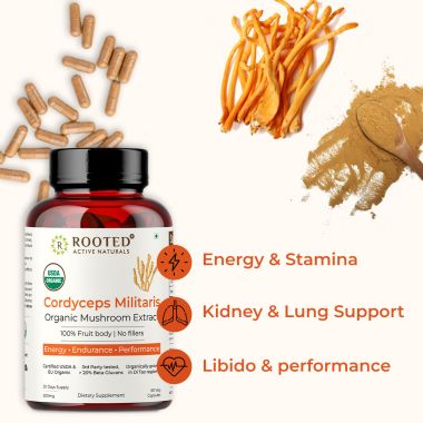 Rooted Active Naturals: Cordyceps Militaris Mushroom Extract  (60 caps, 500 mg) |Energy, Stamina, Supports Testosterone, Virility, Lung health |USDA Organic, 20% Beta Glucans