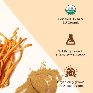 Rooted Active Naturals: Cordyceps Militaris Mushroom Extract powder (45 g) |Energy, Stamina & Endurance | Supports Testosterone, Virility, Lung health, USDA Organic, 20% Beta Glucans