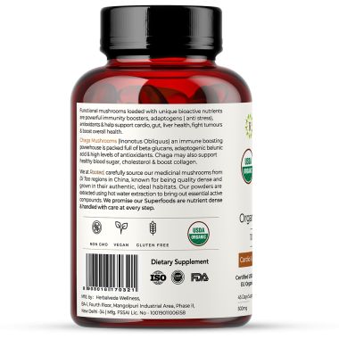 Rooted Active Naturals: Siberian Chaga mushroom Extract (90 Caps, 500 mg) |Blood Sugar, Heart & Immunity. USDA Organic, 35% Beta Glucans
