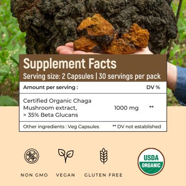 Rooted Active Naturals: Siberian Chaga mushroom Extract (90 Caps, 500 mg) |Blood Sugar, Heart & Immunity. USDA Organic, 35% Beta Glucans