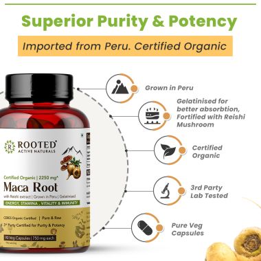 Rooted Active Naturals: Maca Root Extract with Reishi Mushroom (90 Veg Caps, 750 mg) -Stamina, Virility, Hormonal support| Imported from Peru, Certified Organic, Gelatinised