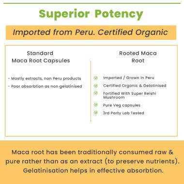 Rooted Active Naturals: Maca Root Extract with Reishi Mushroom (90 Veg Caps, 750 mg) -Stamina, Virility, Hormonal support| Imported from Peru, Certified Organic, Gelatinised