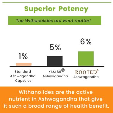 Rooted Active Naturals: Ashwagandha root extract (5% withanolides, 60 Caps, 500 mg) ,enhanced with Reishi Mushrooms | Supports Stress, Anxiety Relief, Energy & Immunity