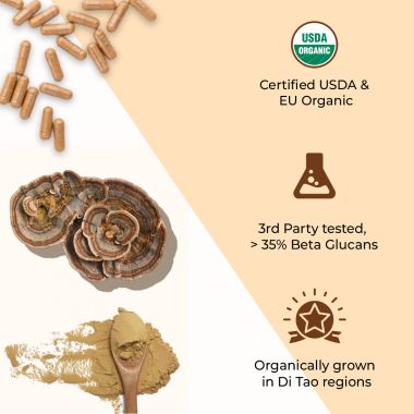 Rooted Active Naturals: USDA Organic Turkey Tail Mushroom Extract (90 Veg Caps, 500 mg), &gt; 35% Beta Glucans