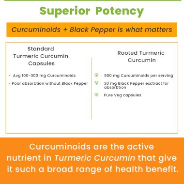 Rooted Active Naturals: Turmeric Curcumin (95%) with Reishi Mushroom extract (for better absorbtion)1300mg, for Immunity, Joints Cardio Health| 60 VEG Capsules, 650 Mg each