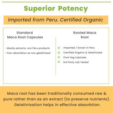 Rooted Active Naturals: Maca Root Extract  (90 Veg Caps, 750 mg) -Stamina, Virility, Hormonal support| Imported from Peru, Certified Organic, Gelatinised