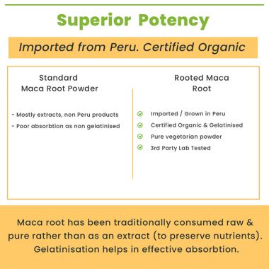 Rooted Active Naturals: Maca Root Extract powder (100 g) -Stamina, Virility, Hormonal support| Imported from Peru, Certified Organic, Gelatinised