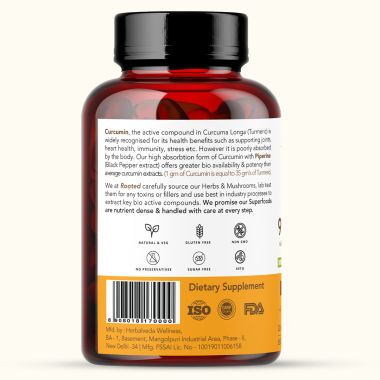 Rooted Active Naturals: Curcumin (95%) Reishi & Black pepper Extract (for better absorbtion)1300mg, for Immunity, Joints Cardio Health| 90 VEG Capsules, 500 Mg each