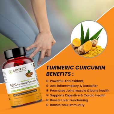 Rooted Active Naturals: Curcumin (95%) Reishi & Black pepper Extract (for better absorbtion)1300mg, for Immunity, Joints Cardio Health| 90 VEG Capsules, 500 Mg each