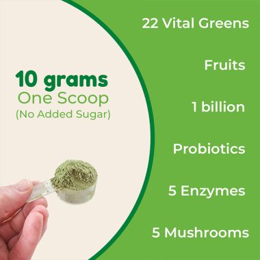 Rooted Active Naturals: Superfood Greens, Mushrooms & Herbs blend| (250 g), 22 Daily Greens & Fruits, 5 Mushrooms, Probiotics & Enzymes | Rich in vitamins, minerals, iron, fiber & antioxidants