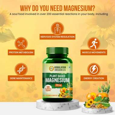 Vlado's Himalayan Organics: Plant Based Magnesium Supplement 1360mg With Turmeric Spirulina, Wheatgrass, Moringa | Supports Bone Muscle & Bone Health | Boost Energy Level - 60 Veg Tablets