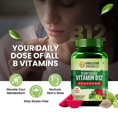 Vlado's Himalayan Organics: Plant Based Vitamin B12 Natural- 120 Veg Capsules