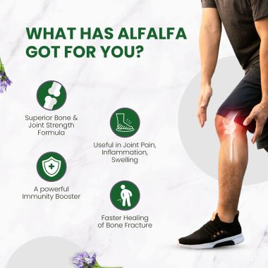 Vlado's Himalayan Organics: Alfalfa, Calcium Citrate Malate 1200mg with Vitamin D, K2 (MK7), B12, Zinc & Magnesium - 120 Veg Tablets