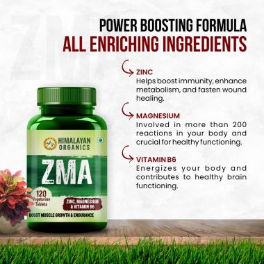 Vlado's Himalayan Organics: ZMA (Zinc, Magnesium Aspartate) Sports Recovery Supplement - 120 Veg Tablets