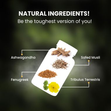 Vlado's Himalayan Organics: Testosterone Booster | Supports Muscle & Energy Boost | With Vitamin D3, Magnesium, Zinc, Tribulus, Ashwagandha & Safed Musli | 60 Veg Tabs