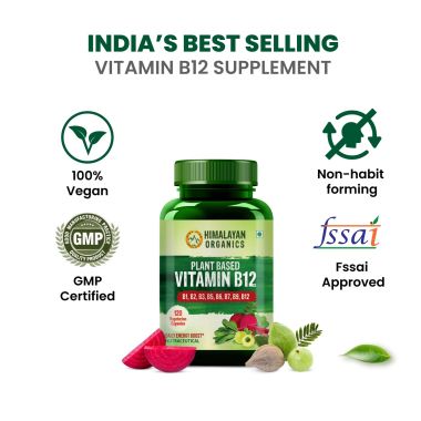 Vlado's Himalayan Organics: Plant Based Vitamin B12 Natural- 120 Veg Capsules